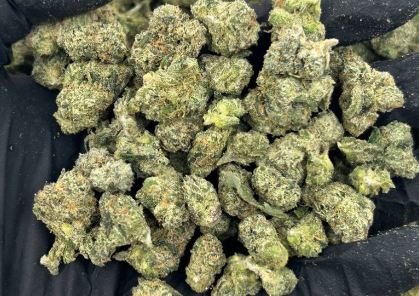 Vanilla Creme Mediums